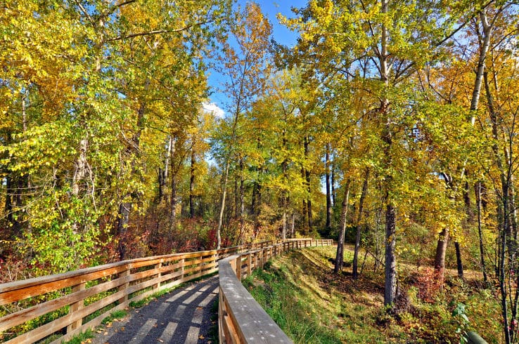 Cottonwood Island Nature Park