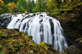 Englishman River Falls Provincial Park