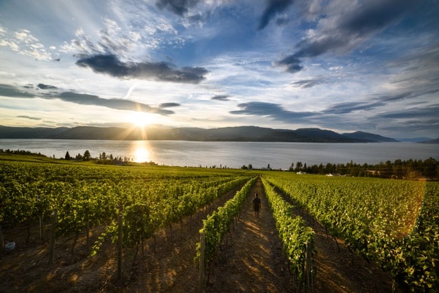 Kelowna Wine Trails