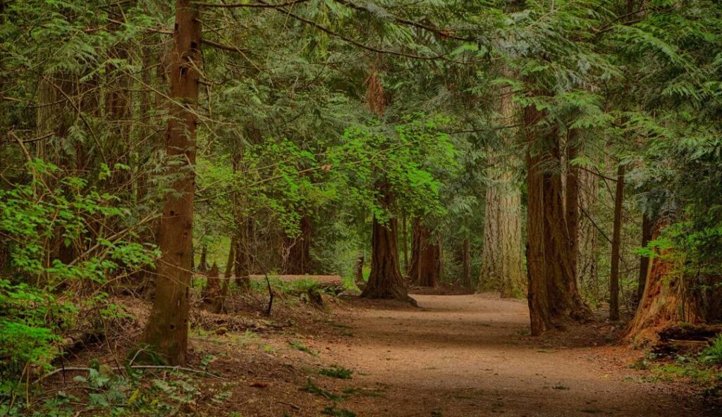 Westwood Lake Park